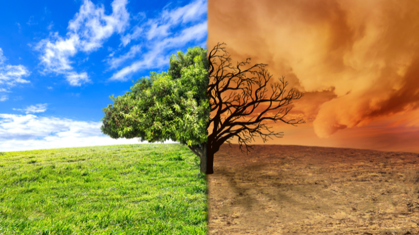 A tecnologia climática tornou-se aliada essencial para prever safras e reduzir riscos, destaca Aldo Vendramin.