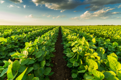 Como explica João Eustáquio De Almeida Junior, o manejo do solo é a base que sustenta produtividade, sustentabilidade e melhores resultados no campo.